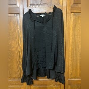 Monochromatic cheetah